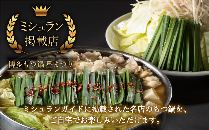 【全6回定期便】☆ミシュラン掲載☆国産牛もつ鍋醤油味セット(2～3人前)《築上町》【博多もつ鍋 星まつり】 [ABDH008] 91000円 9万1千円