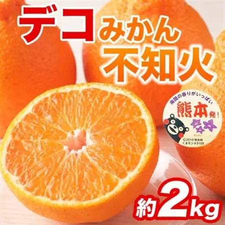 【先行予約】熊本県産 不知火 甘さが濃厚でジューシー! デコみかん 5～9玉 約2kg(益城町)【1726325】