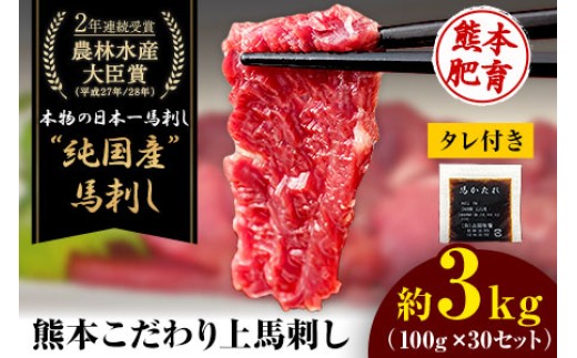 上赤身馬刺し100g×30セット(10ml×30袋)《3-7日以内に出荷予定(土日祝除く)》 熊本県 菊池市 馬刺し 国産 赤身 送料無料 肉 タレ付き 3000g 牛肉よりヘルシー