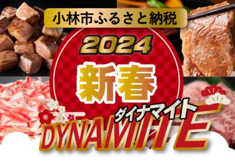 【新春ダイナマイト！】宮崎牛よくばりロース・赤身スライス　600ｇ（新春 産地直送 国産 宮崎県産 牛肉 宮崎牛 ロース 赤身 スライス すき焼き 焼肉 キャンペーン 送料無料)