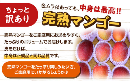 えみちゃん農園 の 完熟 マンゴー 約2キロ（ 訳あり ）C008-007 訳アリ ワケアリ フルーツ 果物 限定 数量限定 完熟マンゴー あまい 美味しい おいしい ジューシー 甘い香り 厳選 先行