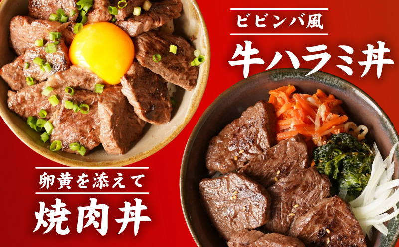 【氷温熟成×極味付け】牛肉 ハラミ 2kg（250g×8P） mrz0387