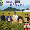 【ふるさと納税】【白米】《定期便2ヶ月》令和6年産 秋田県産 あきたこまち 環境保全米 6kg (3kg×2袋)×2回 計12kg