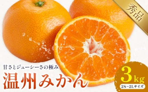 温州みかん 約3kg 日本フルーツ株式会社 熊本県 荒尾市 《10月中旬-2月下旬頃出荷予定》 デコポン 果物 秀品 フルーツ スイーツ デザート ギフト ご贈答