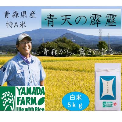 ふるさと納税 青森市 【さつき米】青森県産米「青天の霹靂」白米 5kg