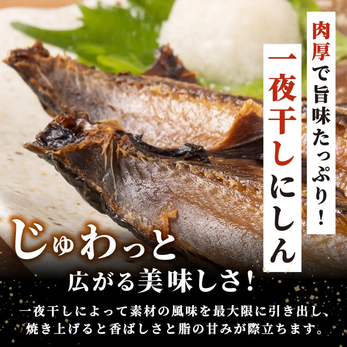 身欠きにしん一夜干し　特大サイズ　真空パック３枚入×５パック