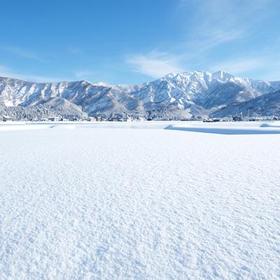ふるさと納税 南魚沼市 【毎月定期便】南魚沼産こしひかり 玄米 5kg全3回 |  | 03
