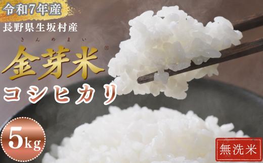 コシヒカリ 無洗米 5kg(1袋)金芽米 長野県産 生坂村産 健康志向 高地栽培 冷めてもモチモチ コメ おこめ お米 こしひかり 白米 信州 長野県 生坂村 [株式会社野の香]