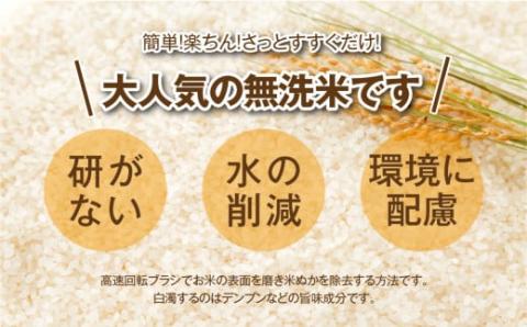 ＼ 年内発送 12/24(火)決済完了分まで！／【 新米 】【 無洗米 】 令和6年産 田村産 コシヒカリ 10kg ( 5kg × 2袋 ) 精米 白米 贈答 ギフト プレゼント 美味しい 米 ko