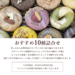 【3回定期便】日々ベーグル10種セット_ M158-0002