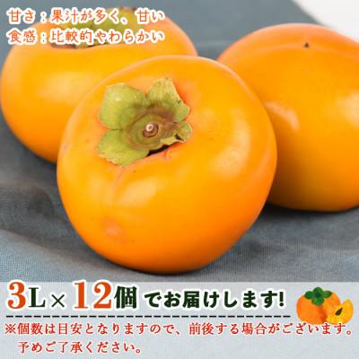ふるさと納税 国富町 富有柿　3Lサイズ12個入り　4kg　宮崎県国富町 |  | 01