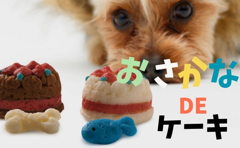 
            ペット用 おさかなDEケーキ (2個) ペットフード ペット用品 ケーキ 犬 猫 誕生日 おやつ
          