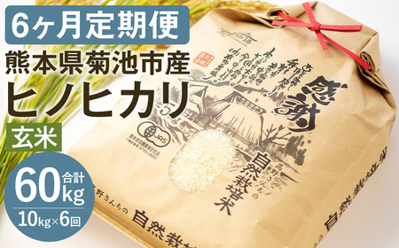 【通常パック】【定期便6ヶ月】令和7年産 七城物語 高野さんちの 自然栽培米 （玄米） 10kg （2.5kg×4パック） 合計60kg お米 米 玄米 ヒノヒカリ