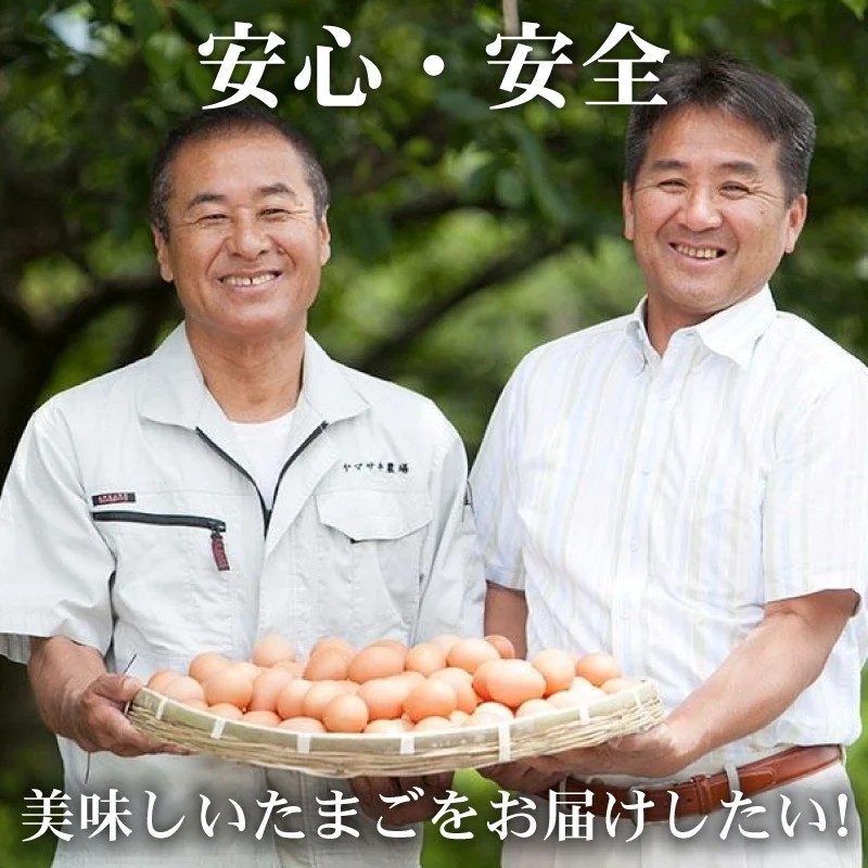 【6回定期便】タマゴ好きにはたまらない 桃太郎たまご 6個入り×2セット
