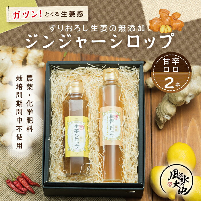 【ふるさと納税】26-708．ジンジャーシロップ辛口・甘口セット