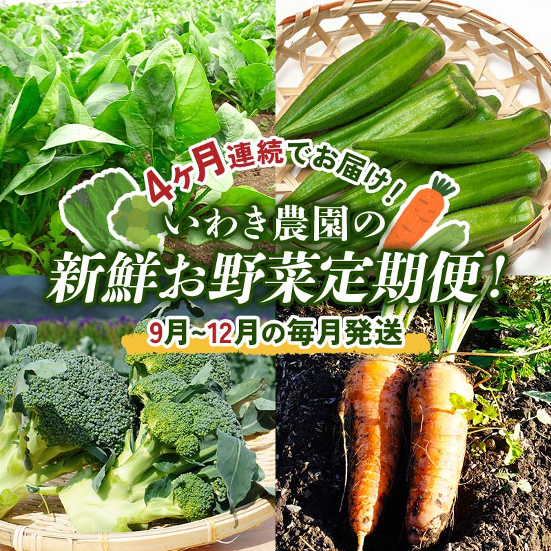 【ふるさと納税】 4ヶ月連続でお届け！いわき農園の新鮮お野菜定期便！【9月～12月の毎月発送】【沖縄・離島配送不可】山田町 三陸山田 農産品 農家 ほうれん草 オクラ ブロッコリー 人参 野菜定期便 YD-869