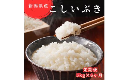 米 定期便 5kg×6か月 (計 30kg) 新潟県産 こしいぶき 令和6年産 精米したてをお届け 新潟のど真ん中 見附市