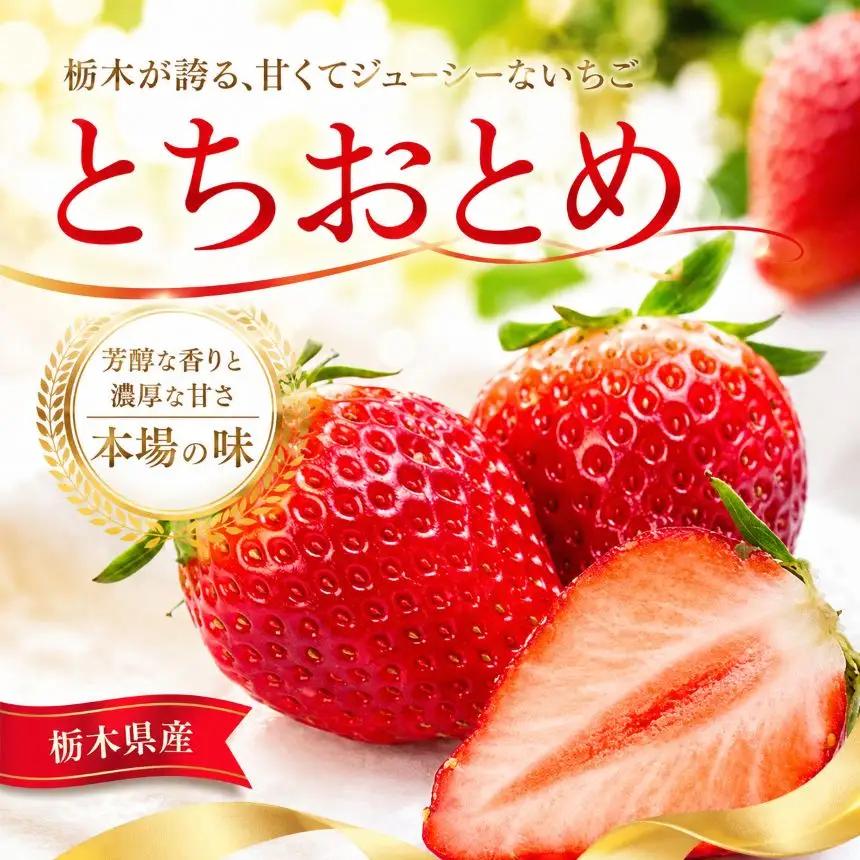 【先行予約】いちご とちおとめ 1120g (280g×4P) | 栃木県 那珂川町 送料無料