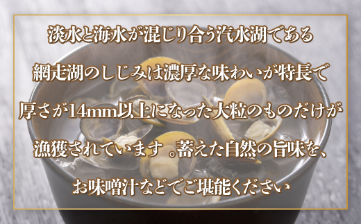 網走湖産 天然大粒 大和しじみ 2kg ※着日指定不可 ABX073