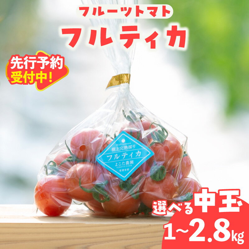 【ふるさと納税】＼先行予約／ フルーツトマト フルティカ 中玉【選べる内容量1kg・1.4kg・2.8kg】※2027年1月中旬以降発送※ よこた農園 野菜 トマト 新鮮野菜 太陽の恵み トマト料理 愛知県産 予約 お取り寄せ 冷蔵便でお届け 送料無料