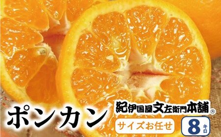 ぽんかん 蜜柑 みかん 柑橘 果物 フルーツ / ポンカン 約8kg サイズおまかせ　※2025年1月下旬～2月下旬頃に(お届け日指定不可)　紀伊国屋文左衛門本舗　【kmtb450A】