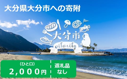 大分県大分市 返礼品なし（寄附のみの受付となります） 一口2,000円 大分県 大分市 寄附 事業 2000円 応援 エール 返礼品なし ふるさと納税 温泉 Z03002