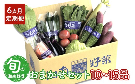 
										
										野菜 【6カ月定期便】野菜セット 旬の湘南野菜おまかせセット 12月発送開始 湘南野菜 旬の野菜 ブランド野菜 生野菜 やさい 鮮度 セット 定期便 おまかせ 藤沢市
									