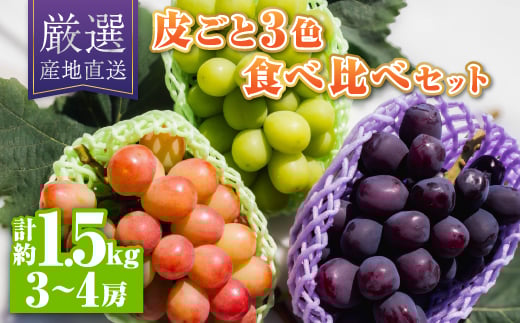 
            シャインマスカット含む皮ごと3色食べ比べセット約1.5kg(3～4房)【1613578】
          