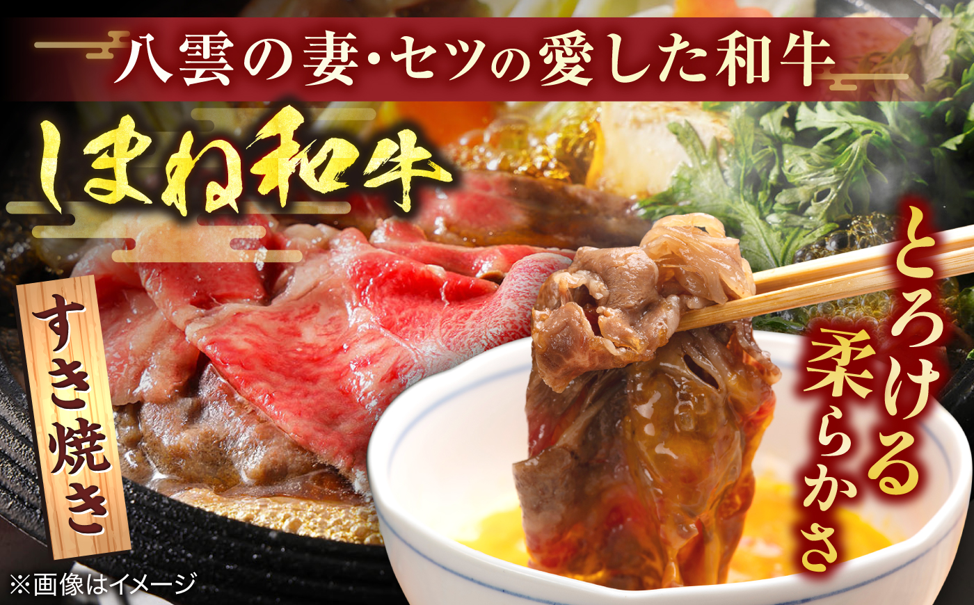 最高級品質の和牛肉！しまね和牛 ロースすき焼き用 500g（250g×2パック） 島根県松江市/有限会社宮本食肉店 [ALCV014]