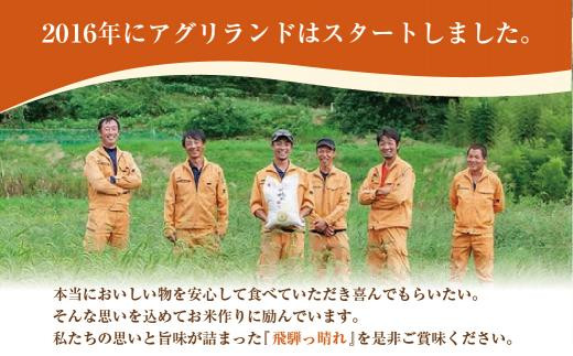 【令和7年産】こしひかり飛騨っ晴れ 白米 20kg 生産者直送 お米 コシヒカリ 飛騨産 飛騨高山 アグリランド  JF009