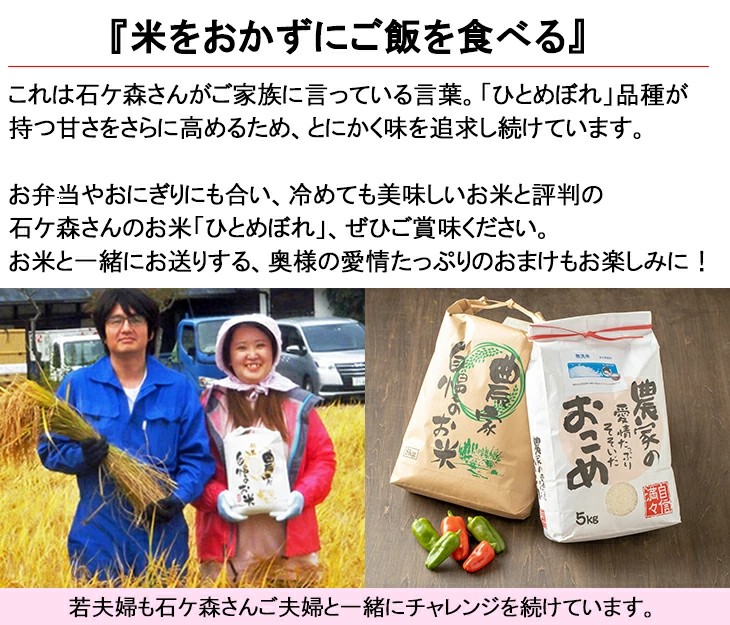 【3ヶ月定期便】減農薬栽培 ひとめぼれ 玄米 10kg（5kgx2袋） 【1111】_イメージ4