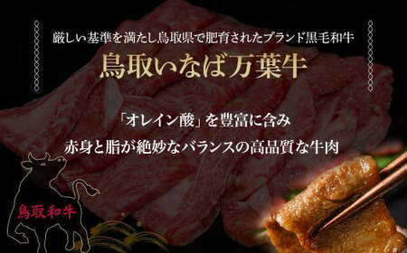 鳥取いなば万葉牛　焼肉用カルビセット 250g 鳥取和牛 国産 牛肉 和牛 黒毛和牛 カルビ 焼肉 冷凍 鳥取県 倉吉市