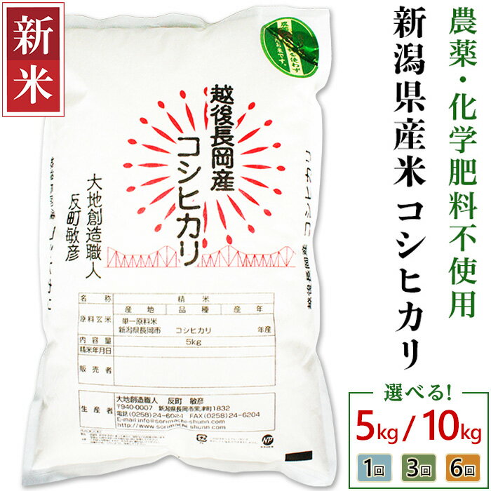 【ふるさと納税】新米予約 令和7年産 米 定期便 5kg 10kg 新潟 コシヒカリ 選べる回数 1回 3回 6回 3ヶ月 6ヶ月 新潟こしひかり 精米 白米 お米 新潟県産コシヒカリ（大地創造職人 反町敏彦）