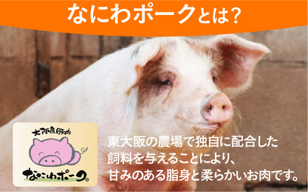 大阪産ブランド豚「なにわポーク」のサムギョプサル焼き肉セット
