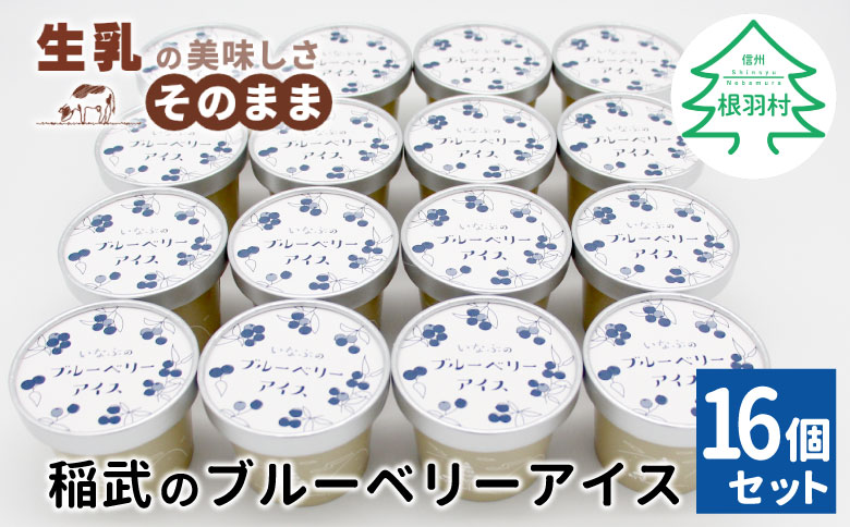 無農薬！皮ごと使用！30品種をブレンドした ブルーベリー アイス(80ml)×16個入り