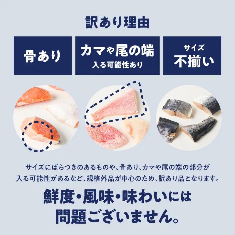 訳あり 切り身 3種セット 300g×3種 合計900g M020-046-01 鮭 鰆 赤魚 冷凍
