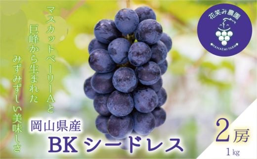 
                  ＜2026年先行受付＞岡山　花笑み農園の『BKシードレス』1kg(2～3房)　B-1_BKシードレス 1kg 種なし ぶどう 2房 3房 フルーツ 果物 送料無料 岡山県 津山市【1628316】
                