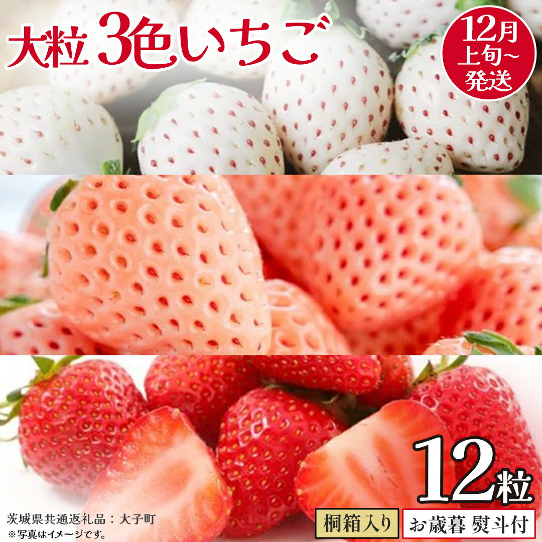 【ふるさと納税】【 お歳暮 熨斗付き 】桐箱入り 大粒 3色いちご 12粒【2025年12月上旬発送開始】(茨城県共通返礼品：大子町) いちご 苺 果物 フルーツ 果実 贈答用 ギフト 贈り物