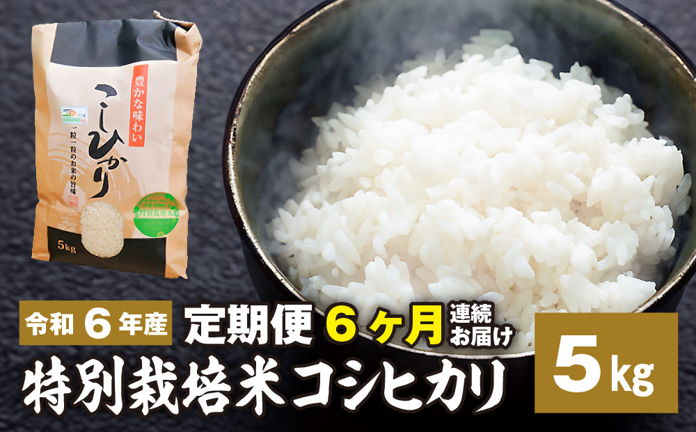 
新米【定期便】6ヶ月連続お届け「令和六年産」特別栽培米 コシヒカリ 5kg 定期便 お米 コシヒカリ 6ヶ月お届け 新米 米 お米 コメ こめ 精米 ライス 白米 炭水化物 ご飯 主食 食卓 おにぎり お弁当 茨城県産
