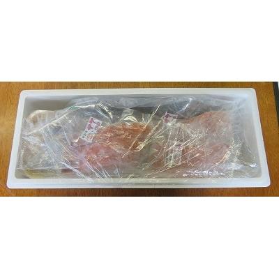 ふるさと納税 根室市 ＜12/21まで年内配送＞★根室のお魚セットB C-59004 |  | 01
