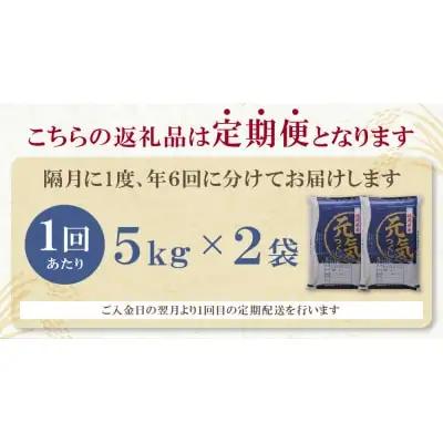 Z17-82 寄附額改定↓↓ 研ぐお米福岡県産・元気つくし10kg定期便(隔月・年6回)
