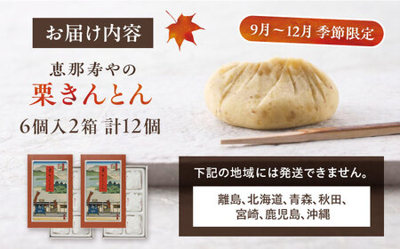【2025年9月から発送】恵那寿やの栗きんとん 計12個（6個入×2箱）/ 栗 くり 栗きんとん 和菓子 / 恵那市 / 恵那寿や [AUAS008]