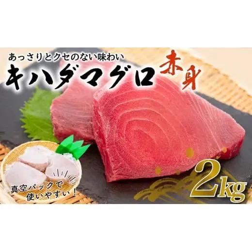【 キハダマグロ 】 キハダマグロ2kg