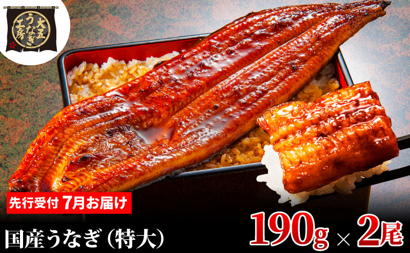 
            [№5695-1913]先行受付 【7月上旬配送】 うなぎ蒲焼 190g×2尾(380g) うなぎ 鰻 蒲焼 蒲焼き 大五通商 静岡 島田市
          