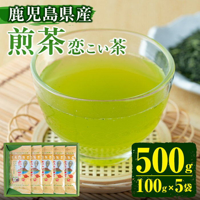 【ふるさと納税】＜鹿児島県産＞煎茶(100g×5袋セット 計500g) 国産 九州産 お茶 緑茶 煎茶 茶葉 日本茶 水出し【末永(清)製茶】