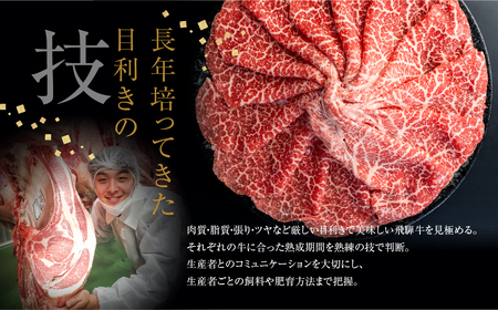 定期便 3回 飛騨牛 5等級 赤身 ウデ モモ しゃぶしゃぶ すき焼き 焼肉 3～4人前 3ヵ月 国産牛 国産 牛肉 肉 和牛 厳選 肉の沖村[Q2341]