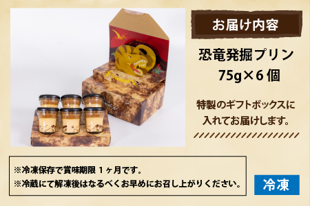 恐竜発掘プリン 特製ギフトボックス（6個入り）冷凍　プリン 図鑑付　B-026032