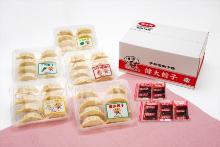 「宇都宮餃子館」味わい５色セット（餃子5種）　800ｇ≪ギョーザ 冷凍餃子 冷凍食品 グルメ 食品 惣菜 中華惣菜 点心 中華≫◇