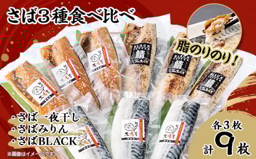 ＜無添加・天日干し・手造り＞脂ノリノリさば三種の食べ比べセット【1539720】