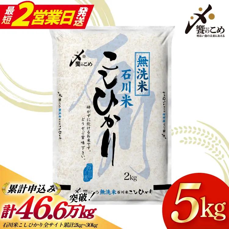 【最短2営業日発送】 無洗米 令和7年 石川米 こしひかり 5kg 無洗